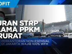 Kata Disnakertrans Soal Aturan STRP Saat PPKM Darurat