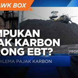Mampukah Pajak Karbon Dorong EBT?