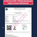 Ini Dia Surat Khusus STRP Bagi Pekerja DKI Saat PPKM Darurat
