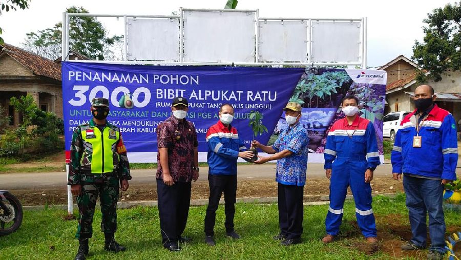 PGE Ulubelu bagikan 3000 bibit Alpukat RATU untuk Masyarakat