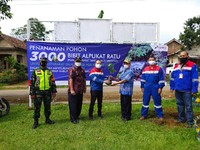 PGE Ulubelu Bagikan 3.000 Bibit Alpukat Ratu Untuk Masyarakat