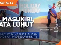 Inilah Jawaban Tegas Luhut Soal WNA Masuk Indonesia