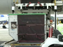Good News! RI Sudah Amankan 122 Juta Dosis Vaksin Covid-19