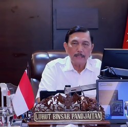 Luhut: RI Harus Antisipasi Covid-19 Varian Delta Plus
