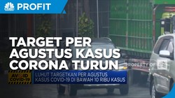 Luhut: Di Agustus Kasus Covid-19 di Bawah 10 Ribu Per hari