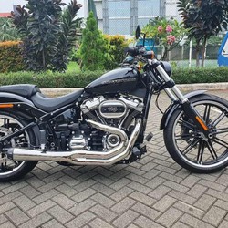 Fenomena Orang Kaya RI Jual Harley sampai Rumah