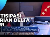 Menko Luhut: RI Antisipasi Varian Delta Plus Covid-19