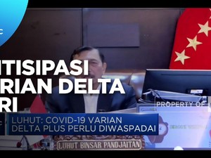 Menko Luhut: RI Antisipasi Varian Delta Plus Covid-19