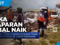 PBB : Angka Kelaparan Global  Meningkat Selama Pandemi