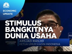 Kata Kadin Soal Stimulus Bangkitkan Dunia Usaha