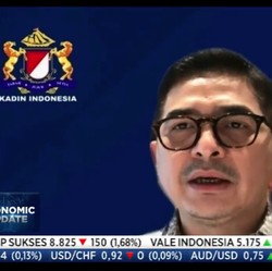 Kadin: Penguatan Ekosistem Digital UMKM Demi Pulihkan Ekonomi