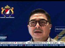 Kadin: Penguatan Ekosistem Digital UMKM Demi Pulihkan Ekonomi