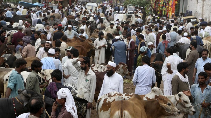 People try to control a bull so it can be loaded into a truck, after buying it for the upcoming Muslim Eid al-Adha or Feast of Sacrifice holiday, at a cattle market in Peshawar, Pakistan, Tuesday, July 13, 2021. Eid al-Adha, the most important Islamic holiday, marks the willingness of the Prophet Ibrahim, Abraham to Christians and Jews, to sacrifice his son. During the holiday, which in most places lasts four days, Muslims slaughter sheep or cattle, distribute part of the meat to the poor and eat the rest. (AP Photo/Muhammad Sajjad)