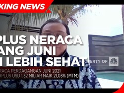 Ekonom: Surplus Neraca Dagang Juni 2021 Jauh Lebih Sehat