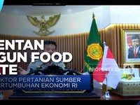 Mentan Klaim 3 Food Estate Sukses, Ini Lokasinya