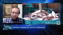 Apindo: Ketidakpastian Aturan Hambat Investasi Perikanan