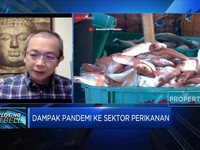 Apindo: Ketidakpastian Aturan Hambat Investasi Perikanan