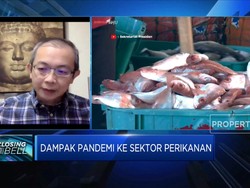 Apindo: Ketidakpastian Aturan Hambat Investasi Perikanan