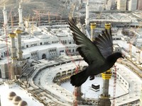 Melihat Prokes Ketat Saat Ibadah Haji 2021 di Arab Saudi