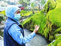 Khofifah Seusai Sowan Jokowi di Istana: Nggak Bahas Pilpres