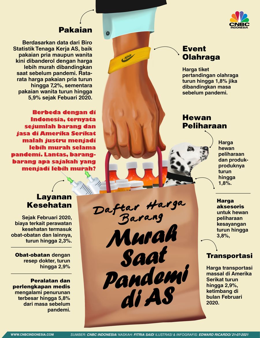INFOGRAFIS, Daftar Harga Barang Murah Saat Pandemi di AS