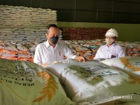 Diam-diam, Jokowi Cek Gudang Bulog! Ada Apa?
