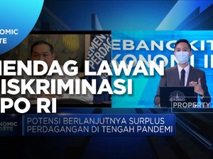 Upaya Mendag Lawan Penilaian Negatif Terhadap Produk CPO RI