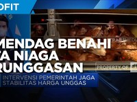 Dorong Daya Saing, Kemendag Benahi Tata Niaga Perunggasan