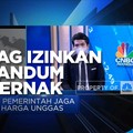 Harga Jagung Tinggi, Impor Gandum Pakan Ternak Diizinkan