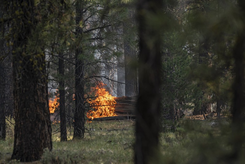 Kebakaran Hutan di Oregon selatan A sign damaged by the Bootleg Fire stands among the haze on Thursday, July 22, 2021, near Paisley, Ore. (AP Photo/Nathan Howard)