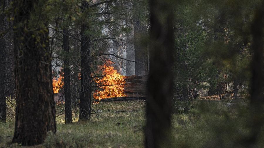 A sign damaged by the Bootleg Fire stands among the haze on Thursday, July 22, 2021, near Paisley, Ore. (AP Photo/Nathan Howard)