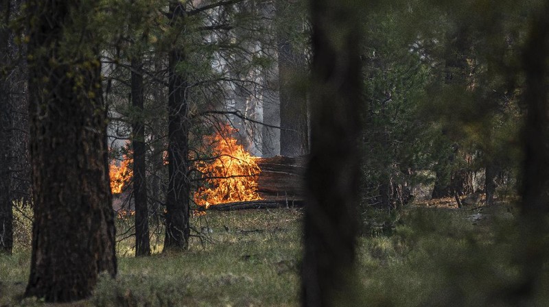 A sign damaged by the Bootleg Fire stands among the haze on Thursday, July 22, 2021, near Paisley, Ore. (AP Photo/Nathan Howard)