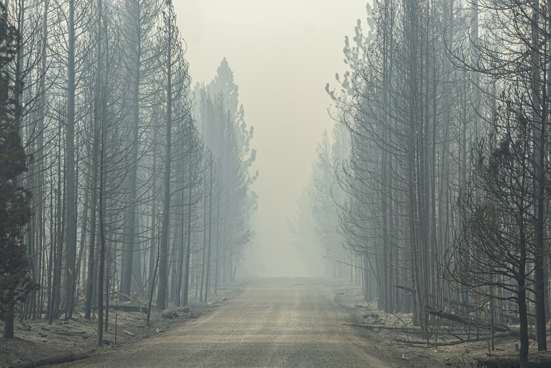 Kebakaran Hutan di Oregon selatan A sign damaged by the Bootleg Fire stands among the haze on Thursday, July 22, 2021, near Paisley, Ore. (AP Photo/Nathan Howard)