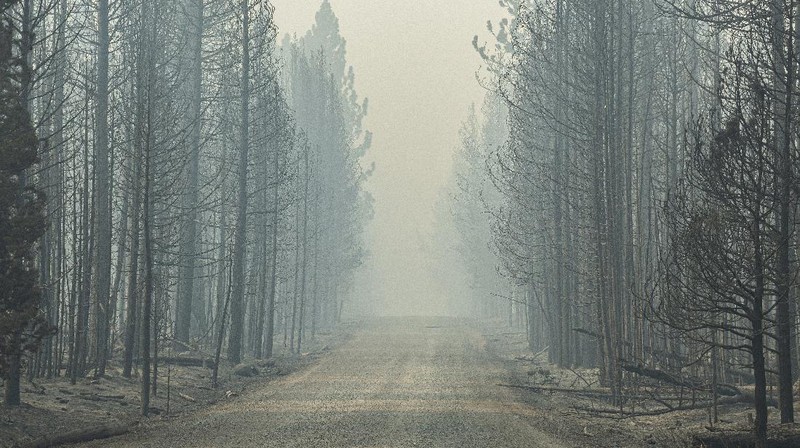 A sign damaged by the Bootleg Fire stands among the haze on Thursday, July 22, 2021, near Paisley, Ore. (AP Photo/Nathan Howard)