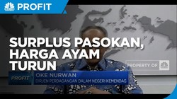 Kemendag: Surplus Pasokan Sebabkan Harga Ayam Turun