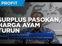 Kemendag: Surplus Pasokan Sebabkan Harga Ayam Turun