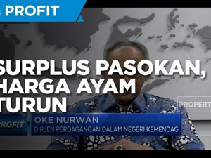 Kemendag: Surplus Pasokan Sebabkan Harga Ayam Turun