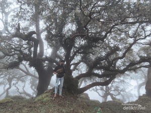 2 Pendaki Hilang di NTT, Mereka Selamat tapi Evakuasi Terhalang Kabut