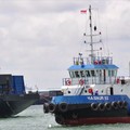 Hasnur International (HAIS) Rombak Jajaran Komisaris, Ini Susunannya