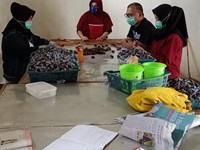Krisis Selalu Melahirkan Pengusaha Baru, Ini Buktinya