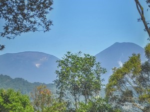 Kronologi 16 Orang Tersesat Usai Ziarah di Gunung Gede Pangrango