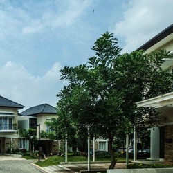 Saham Diborong Lo Kheng Hong, Siapa Pemilik Intiland?