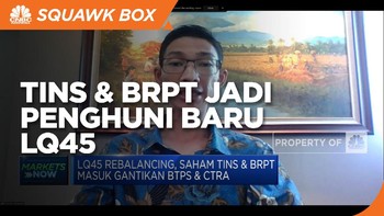 Jadi Penghuni Baru LQ45, Ini Prospek Saham TINS & BRPT