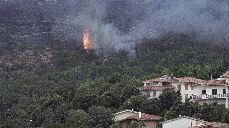 Kebakaran dipedesaan di Cuglieri, Sardinia, Italia. (AP/Alessandro Tocco)