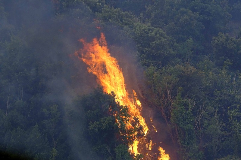 Kebakaran dipedesaan di Cuglieri, Sardinia, Italia. (AP/Alessandro Tocco) Kebakaran dipedesaan di Cuglieri, Sardinia, Italia. (AP/Alessandro Tocco)