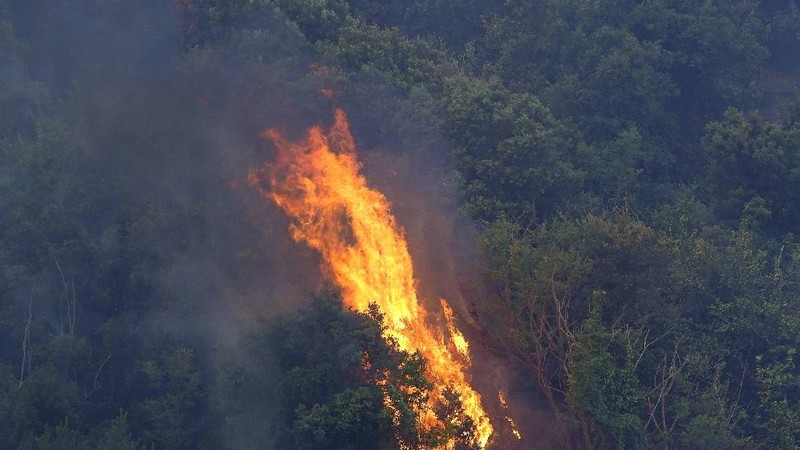 Kebakaran dipedesaan di Cuglieri, Sardinia, Italia. (AP/Alessandro Tocco)