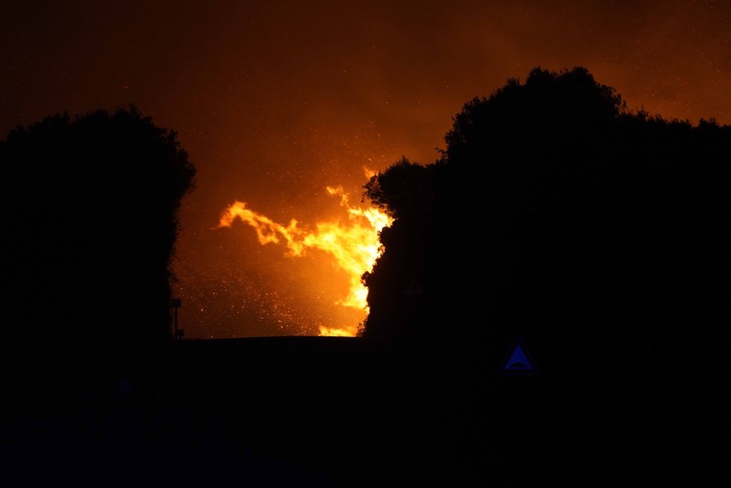 Kebakaran dipedesaan di Cuglieri, Sardinia, Italia. (AP/Alessandro Tocco) Kebakaran dipedesaan di Cuglieri, Sardinia, Italia. (AP/Alessandro Tocco)