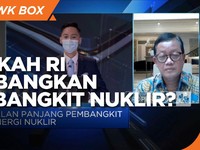 Siapkah RI Kembangkan Pembangkit Nuklir? Ini Kata DEN