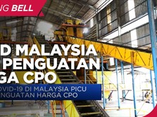Covid-19 di Malaysia Picu Penguatan Harga CPO