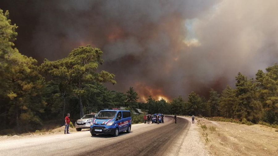 Kebakaran hutan masif terjadi wilayah selatan Turki. AP/